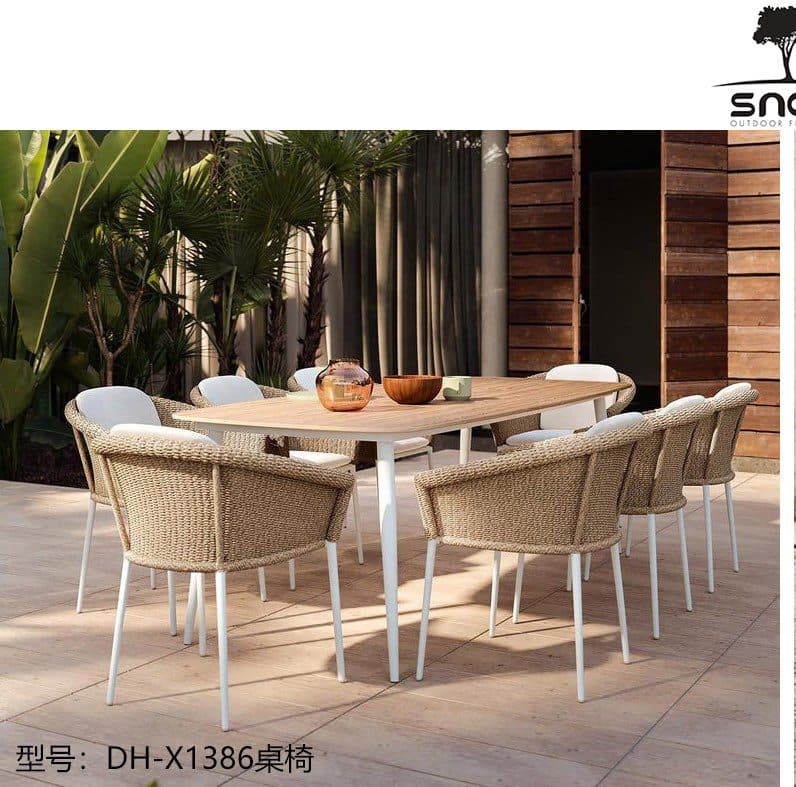 DH-X1386