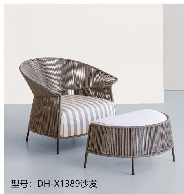 DH-X1389 detail