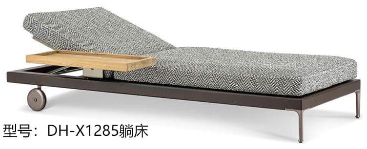 DH-X1285 detail