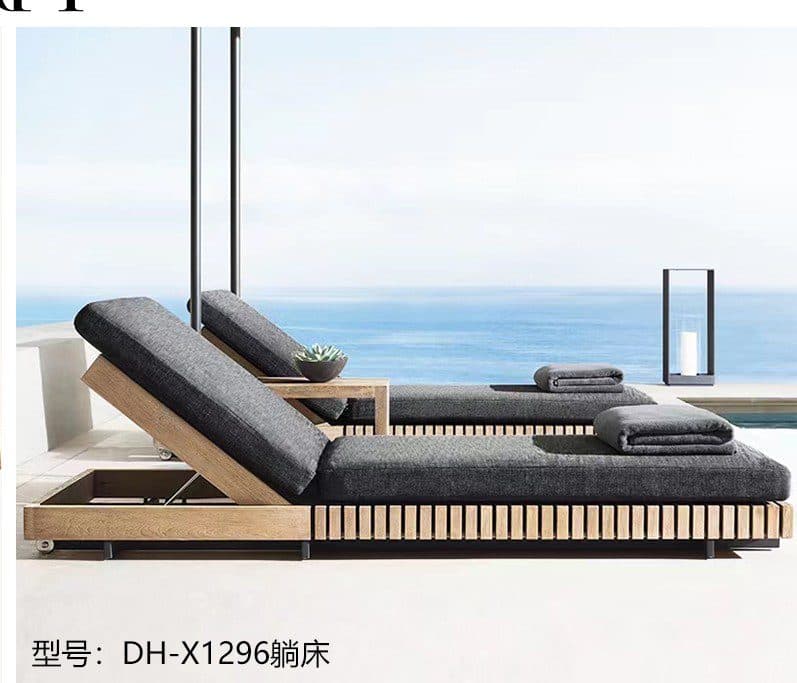 DH-X1296 detail