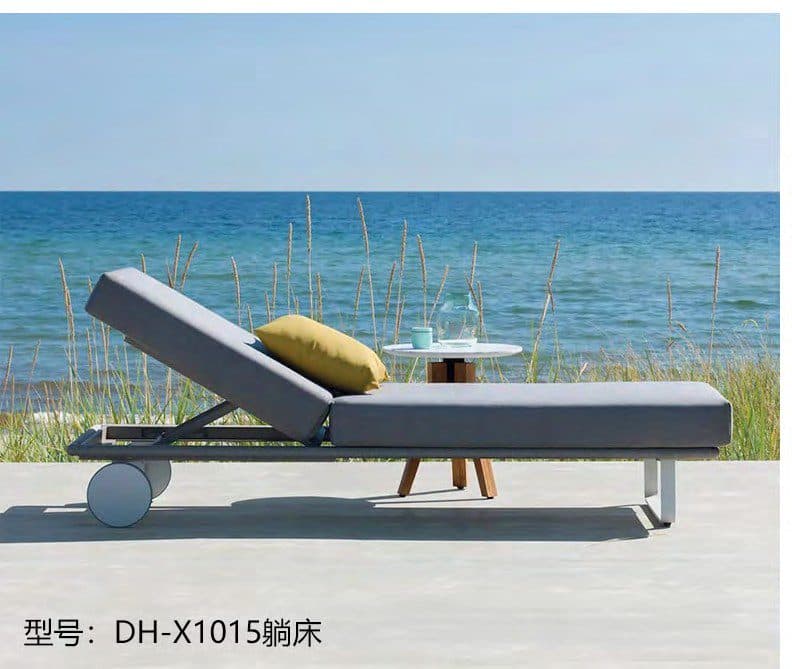 DH-X1015 detail