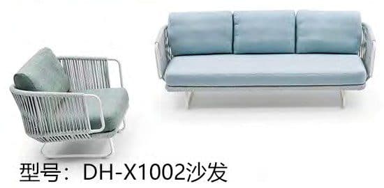 DH-X1002 detail