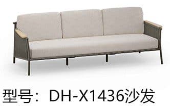 DH-X1436 detail
