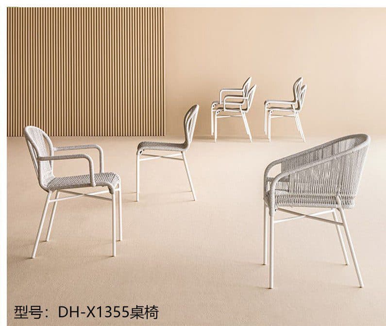 DH-X1355 detail