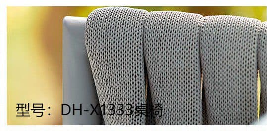 DH-X1338 detail