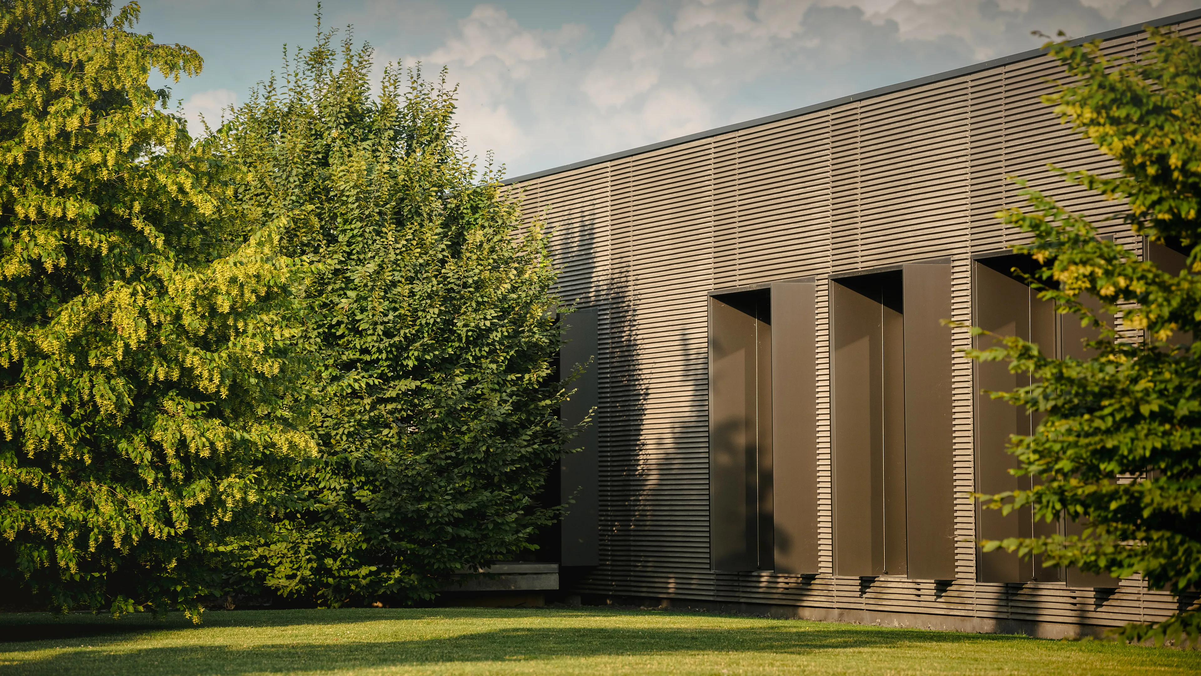 Sustainability as a concrete value